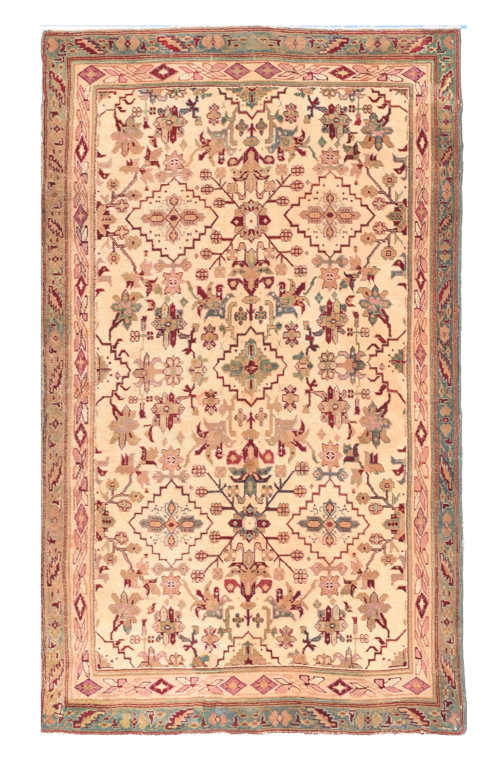 Antique Beige Agra Indian Area Rug