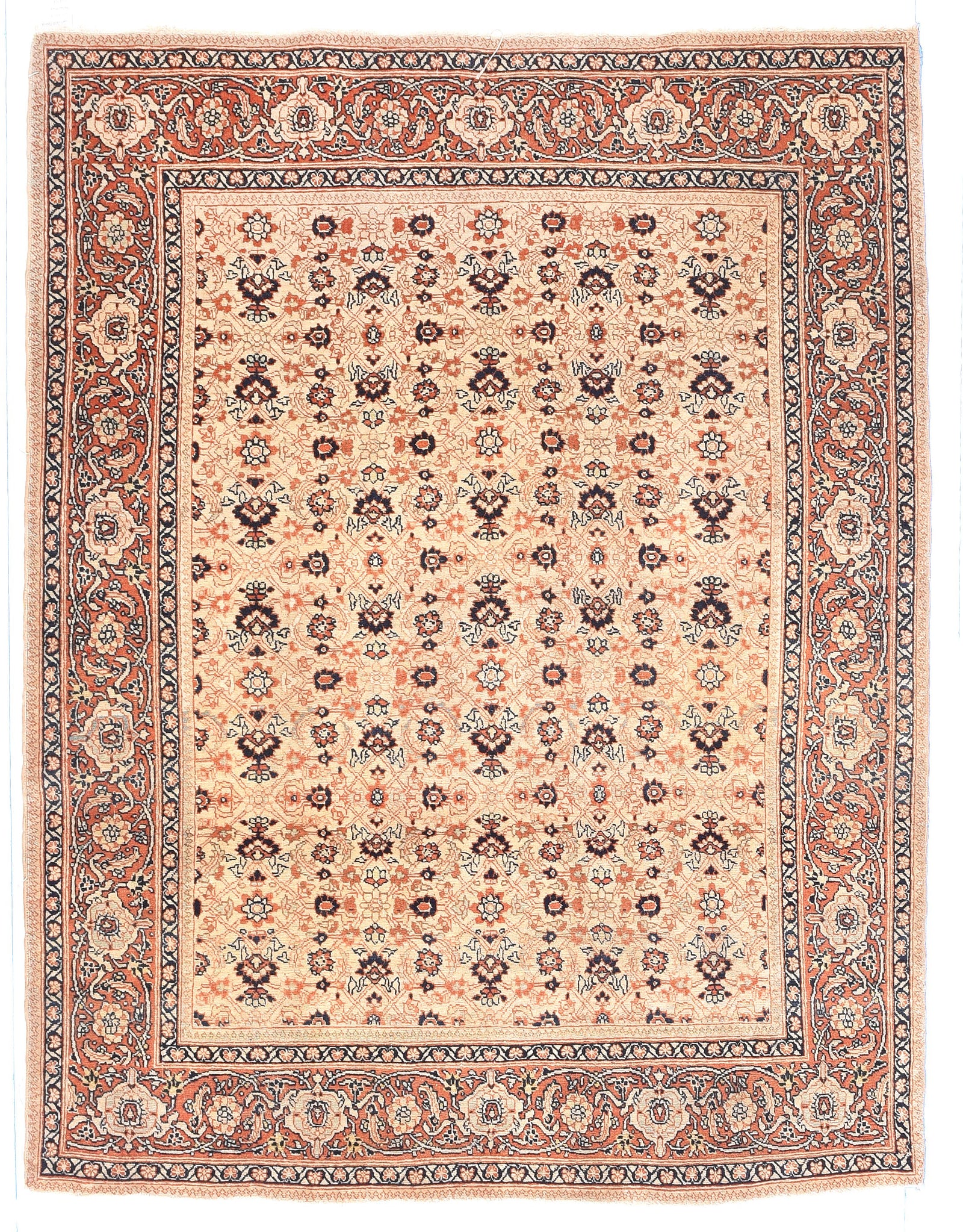 Excellent Beige Contemporary Area Rug