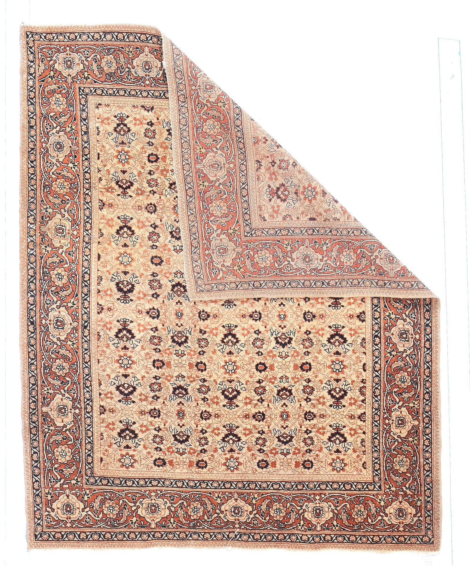 Excellent Contemporary Area Rug