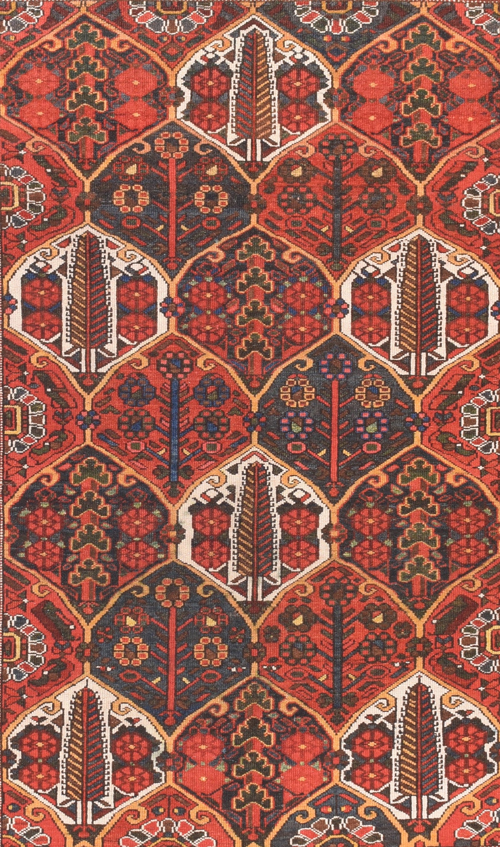Semi Rust Bakhtiari Persian Area Rug