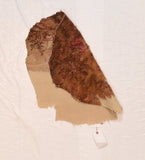 Antique Aubusson-Beauvais French Tapestry