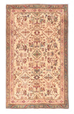Antique Beige Agra Indian Area Rug