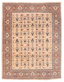 Excellent Beige Contemporary Area Rug