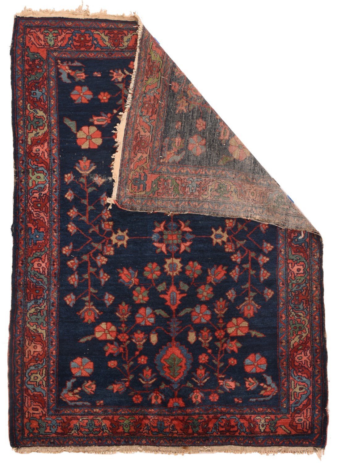 Area Rug 1103