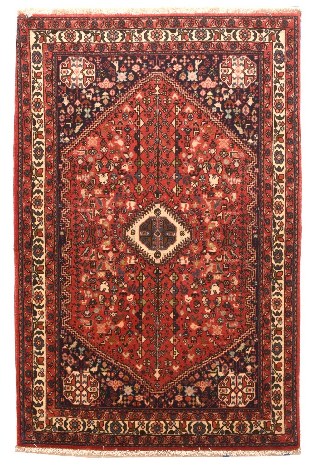Area Rug 1112