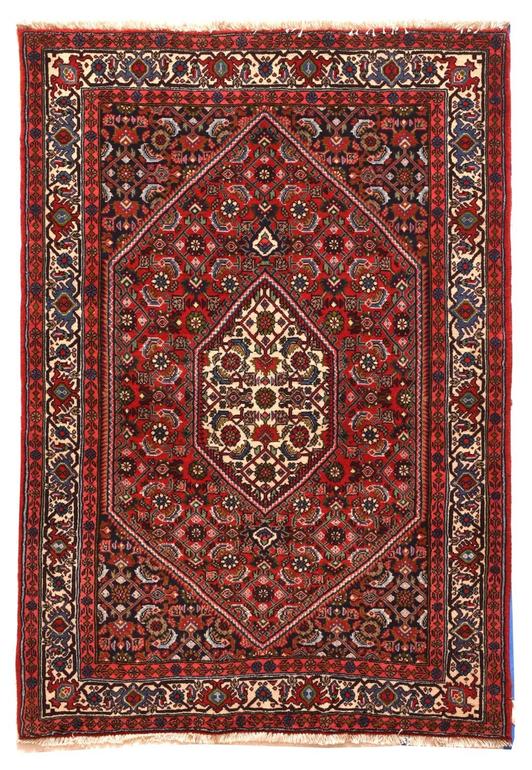 Area Rug 1113