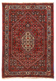 Area Rug 1113