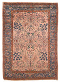 Area Rug 1117