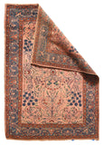 Area Rug 1117