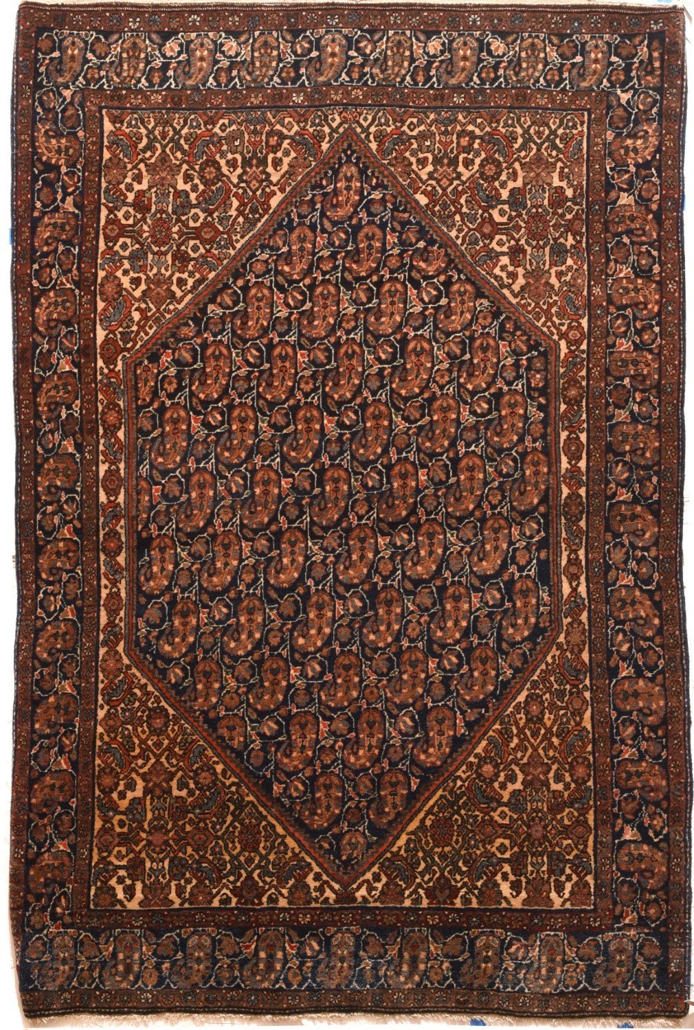 Area Rug 1119