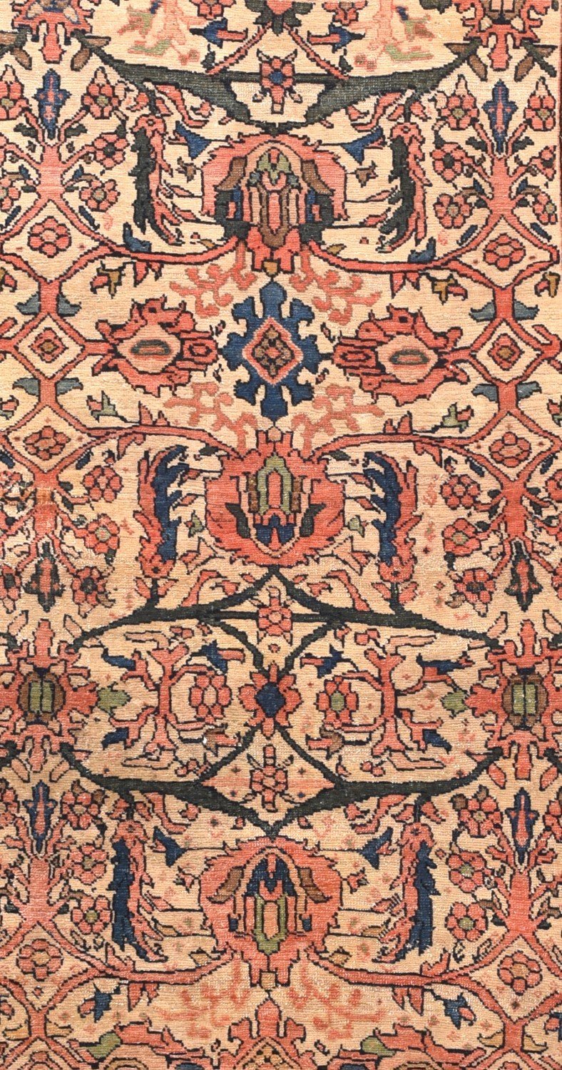 Area Rug 1120