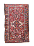 Area Rug 1137