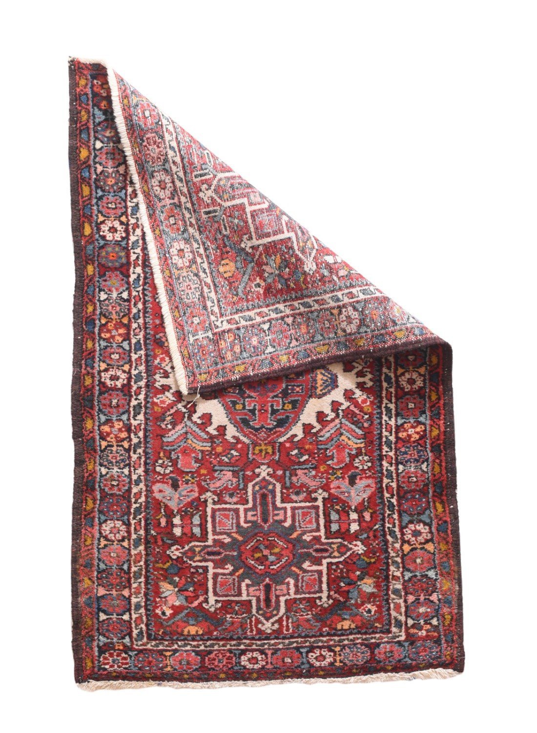 Area Rug 1137