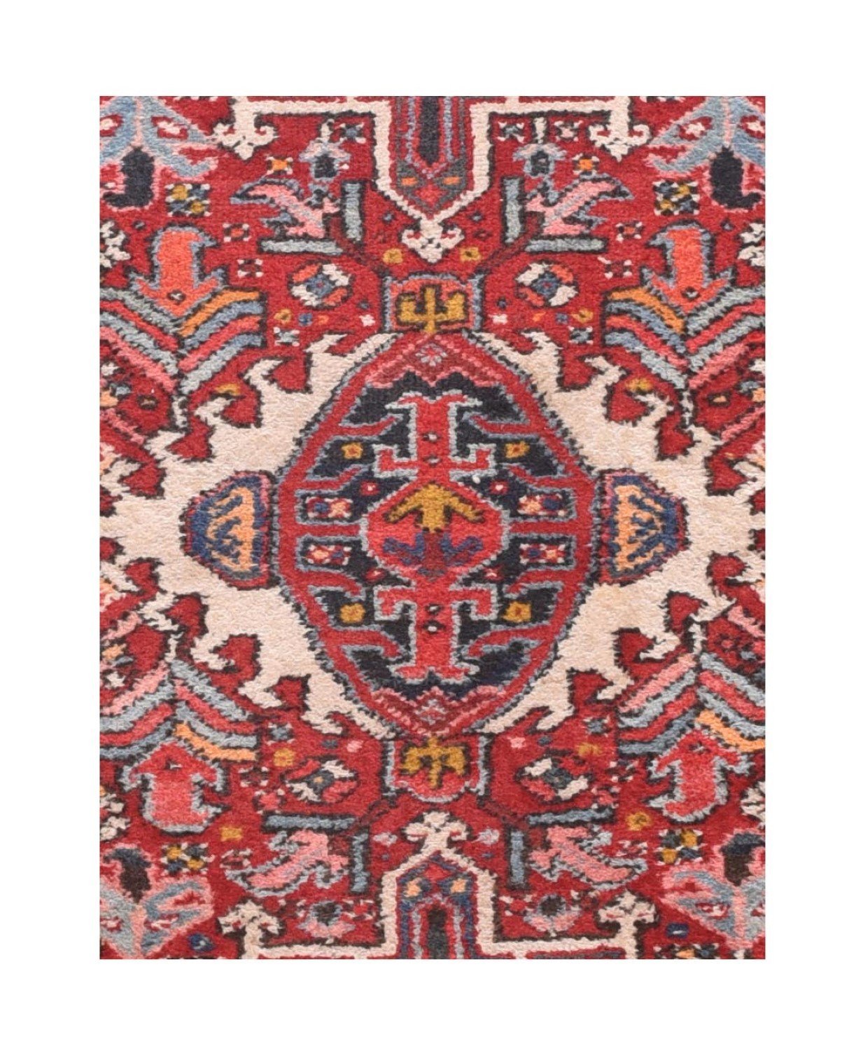 Area Rug 1137