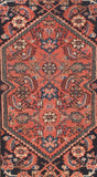 Area Rug 1155