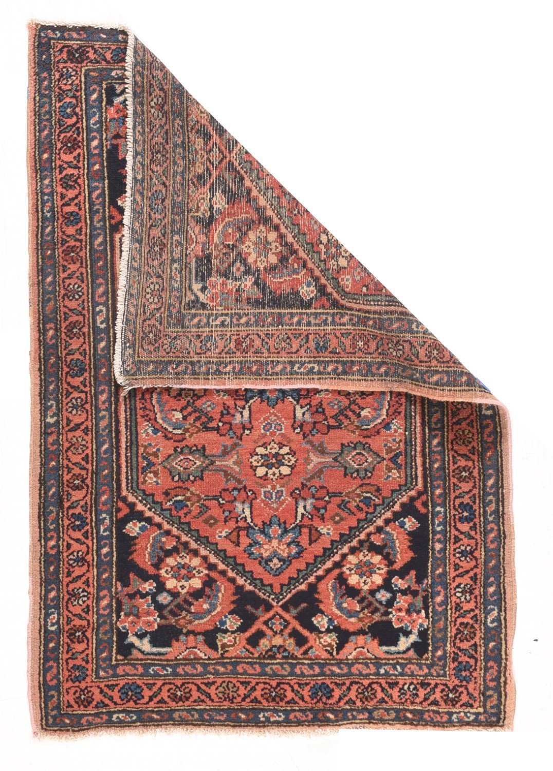 Area Rug 1155