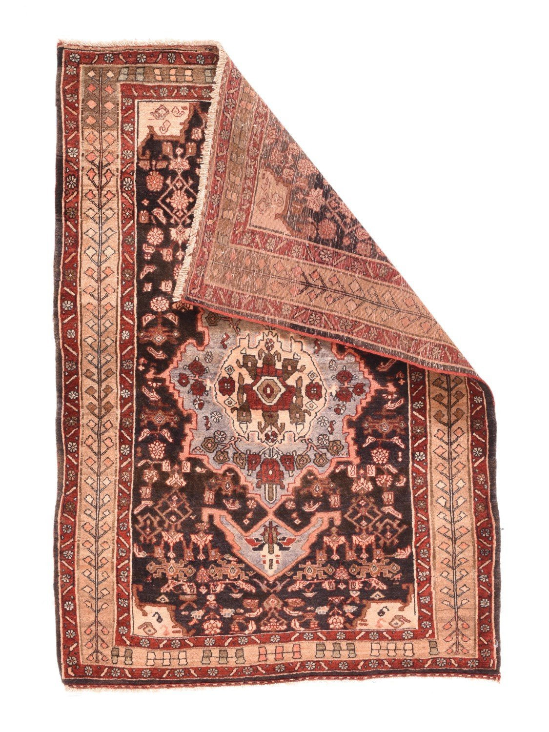 Area Rug 1162