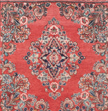 Area Rug 1180