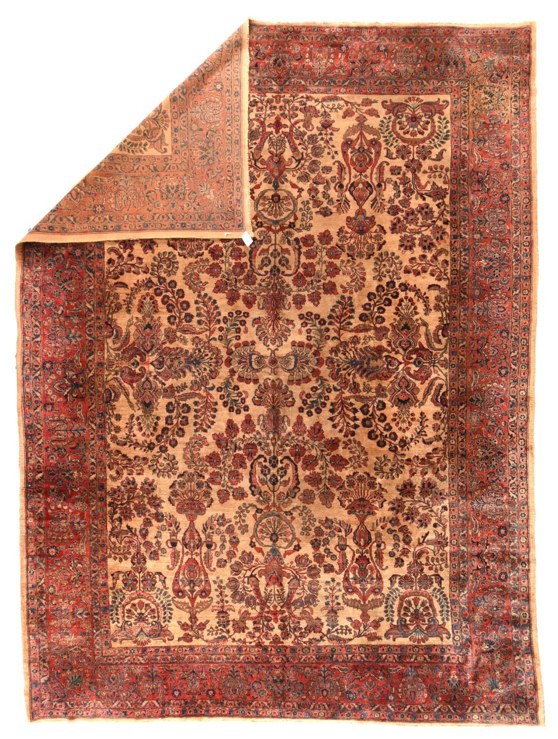 Area Rug 1234
