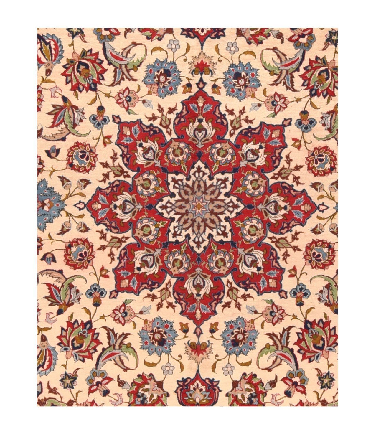Area Rug 1241