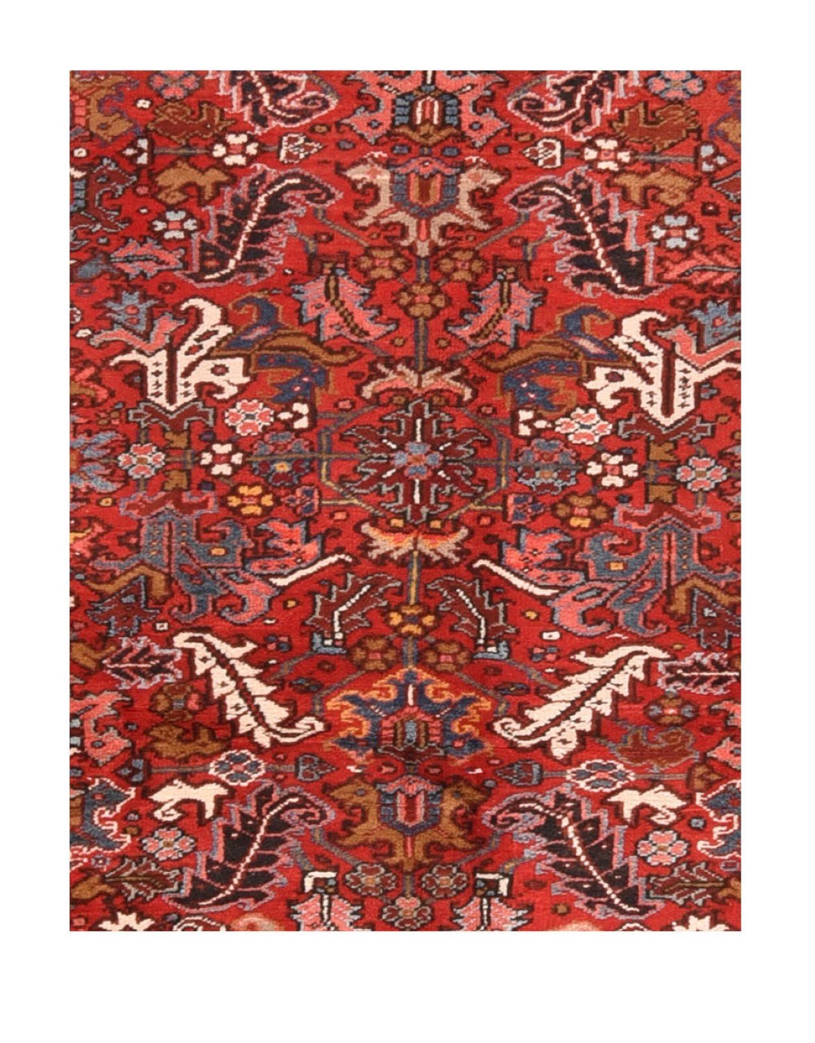 Area Rug 1242