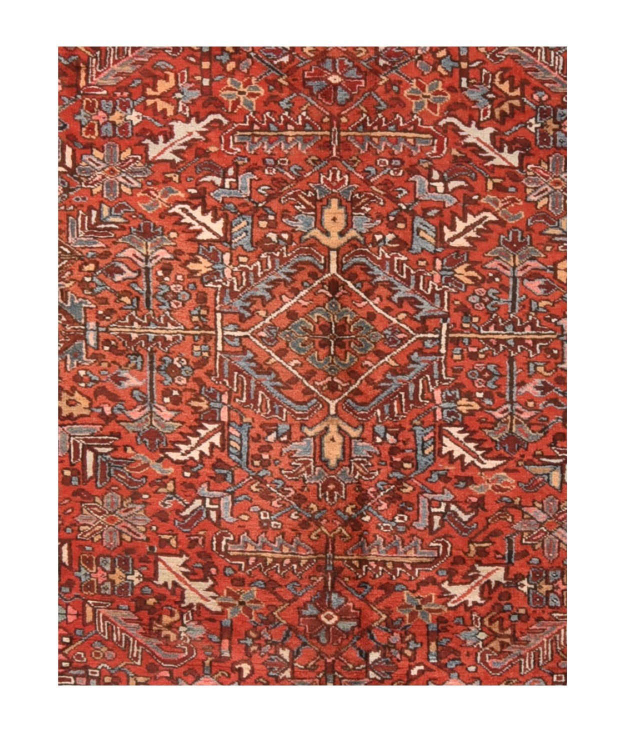 Area Rug 1243