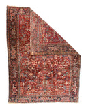 Area Rug 1244