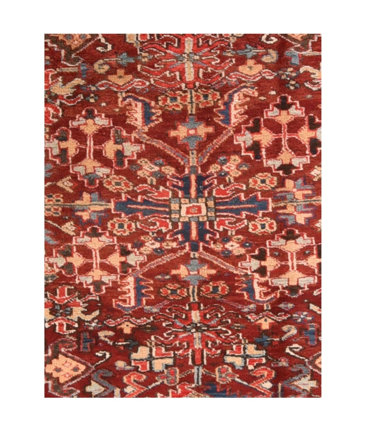 Area Rug 1244