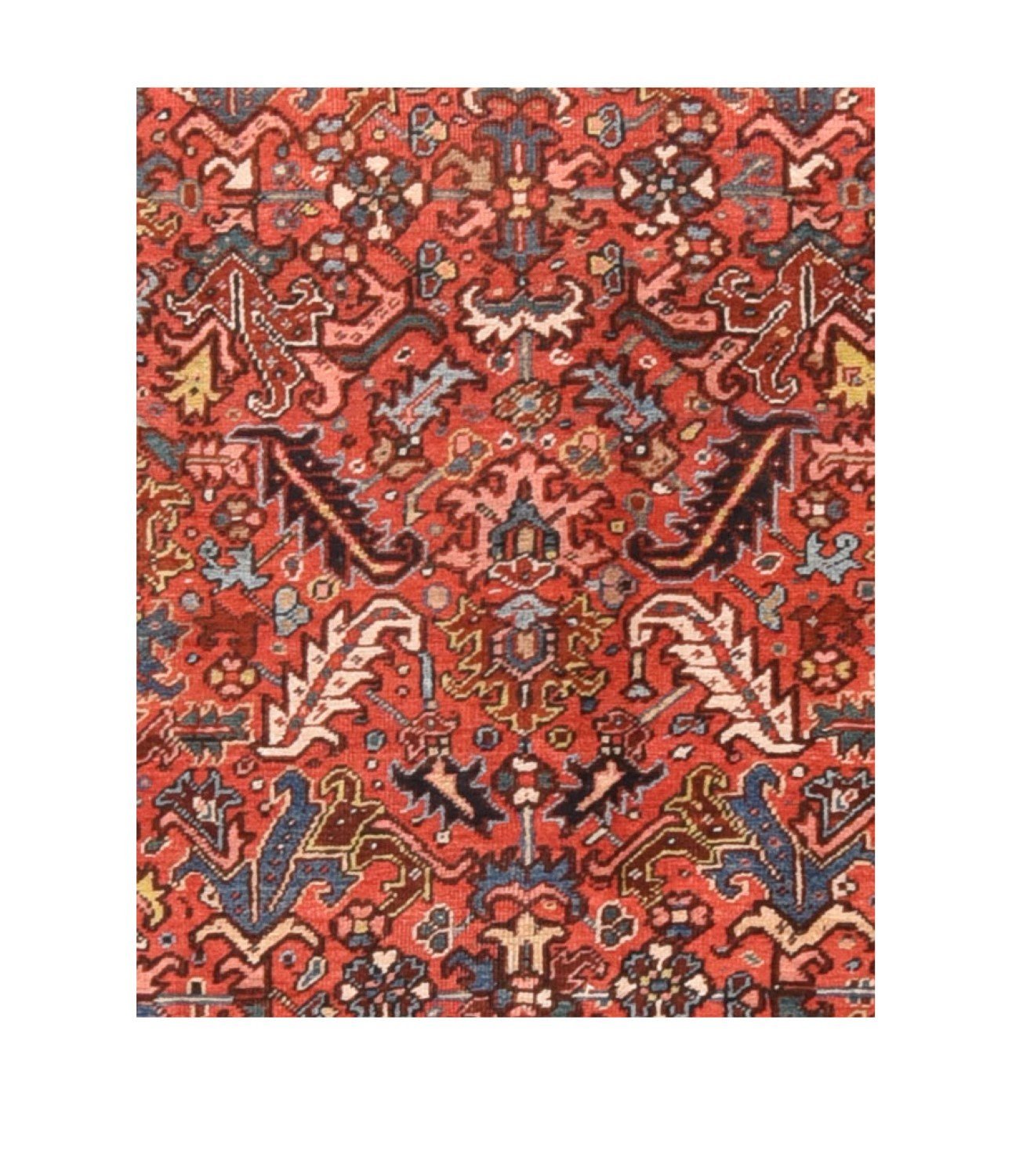 Area Rug 1247