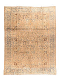 Area Rug 1258