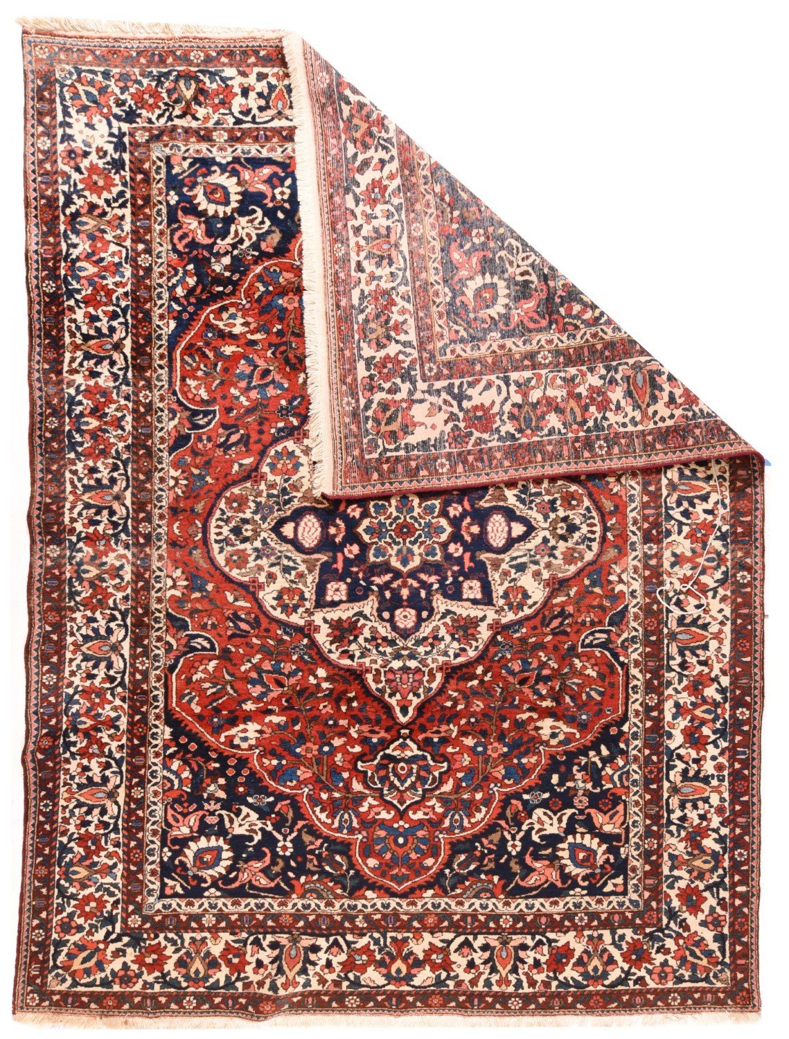 Area Rug 1261