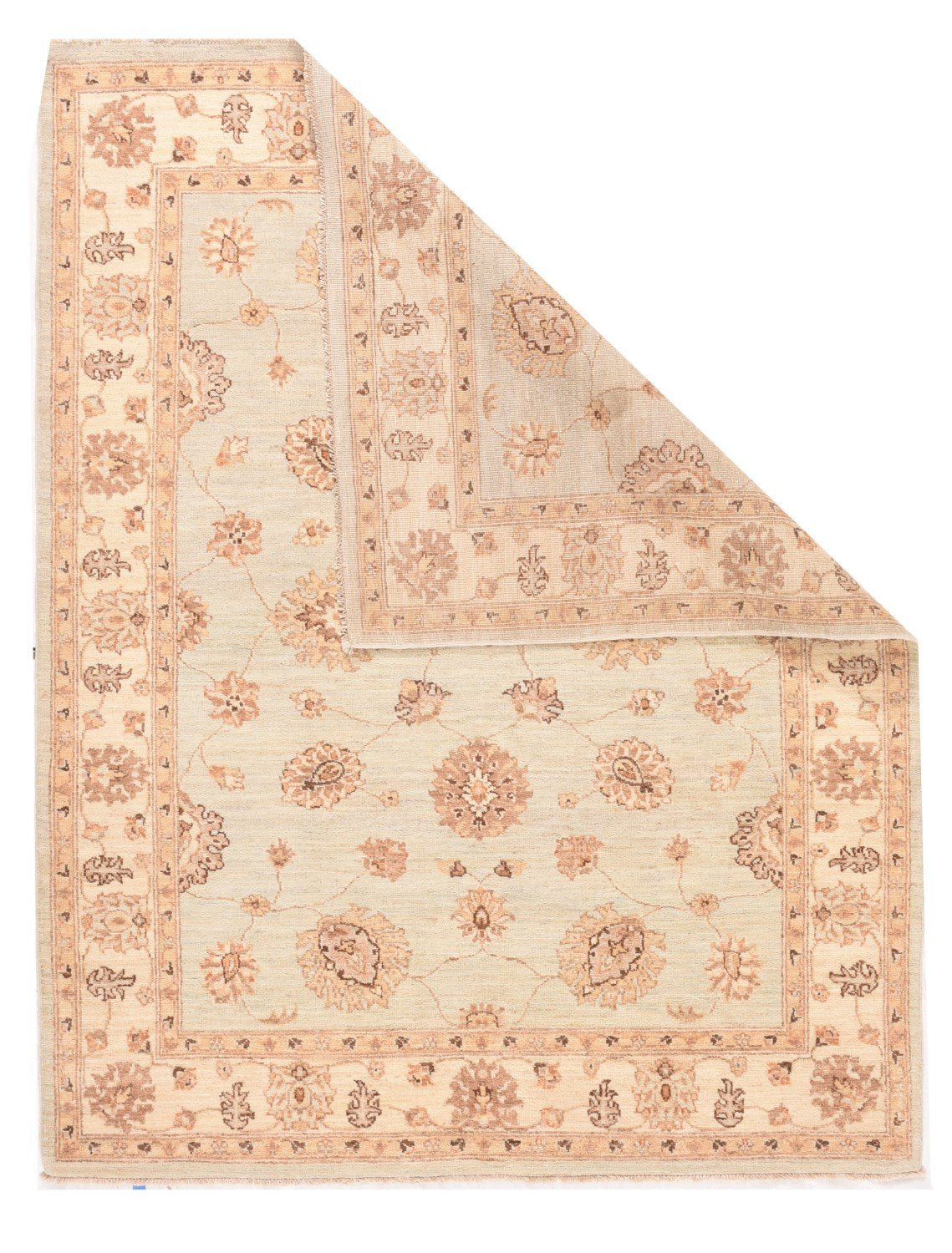 Area Rug 1289