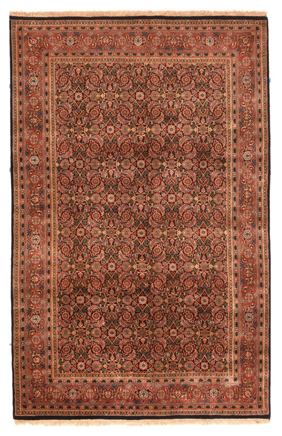 Area Rug 1294