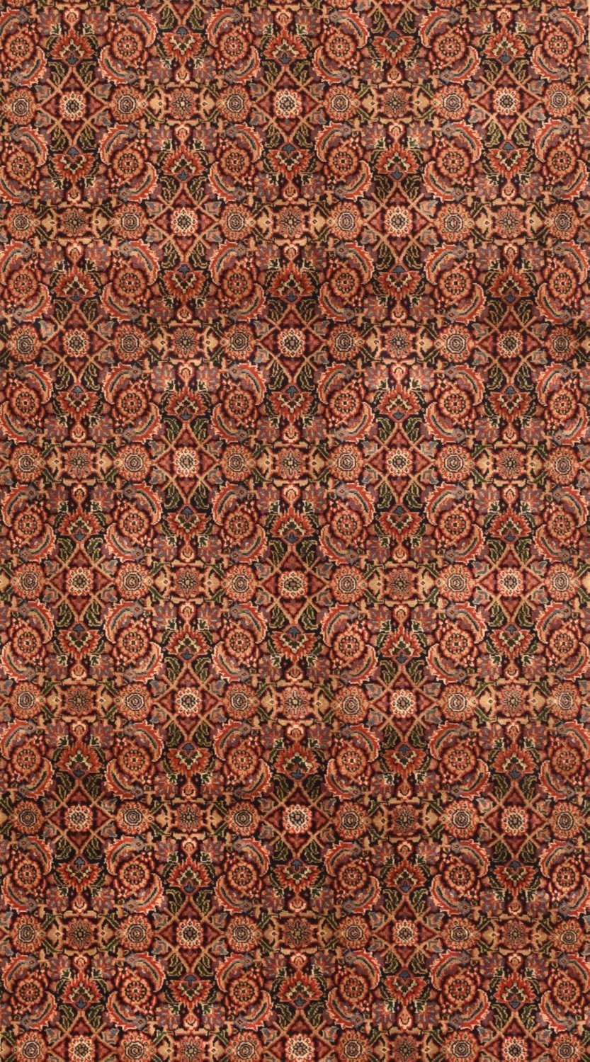 Area Rug 1294
