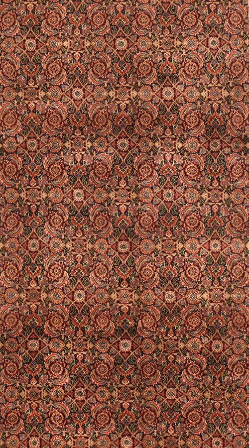 Area Rug 1294