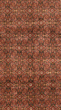 Area Rug 1294