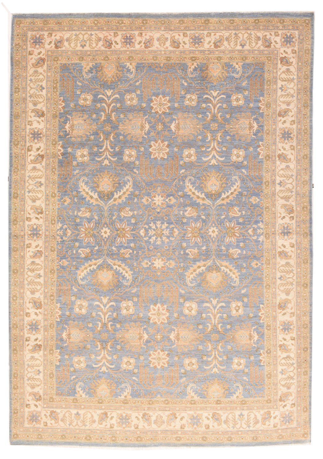 Area Rug 1296