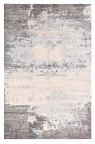 Area Rug 1300