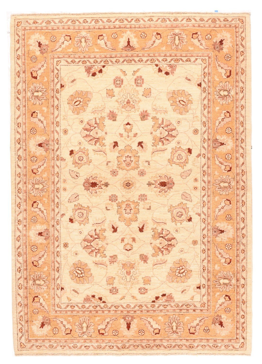 Area Rug 1307