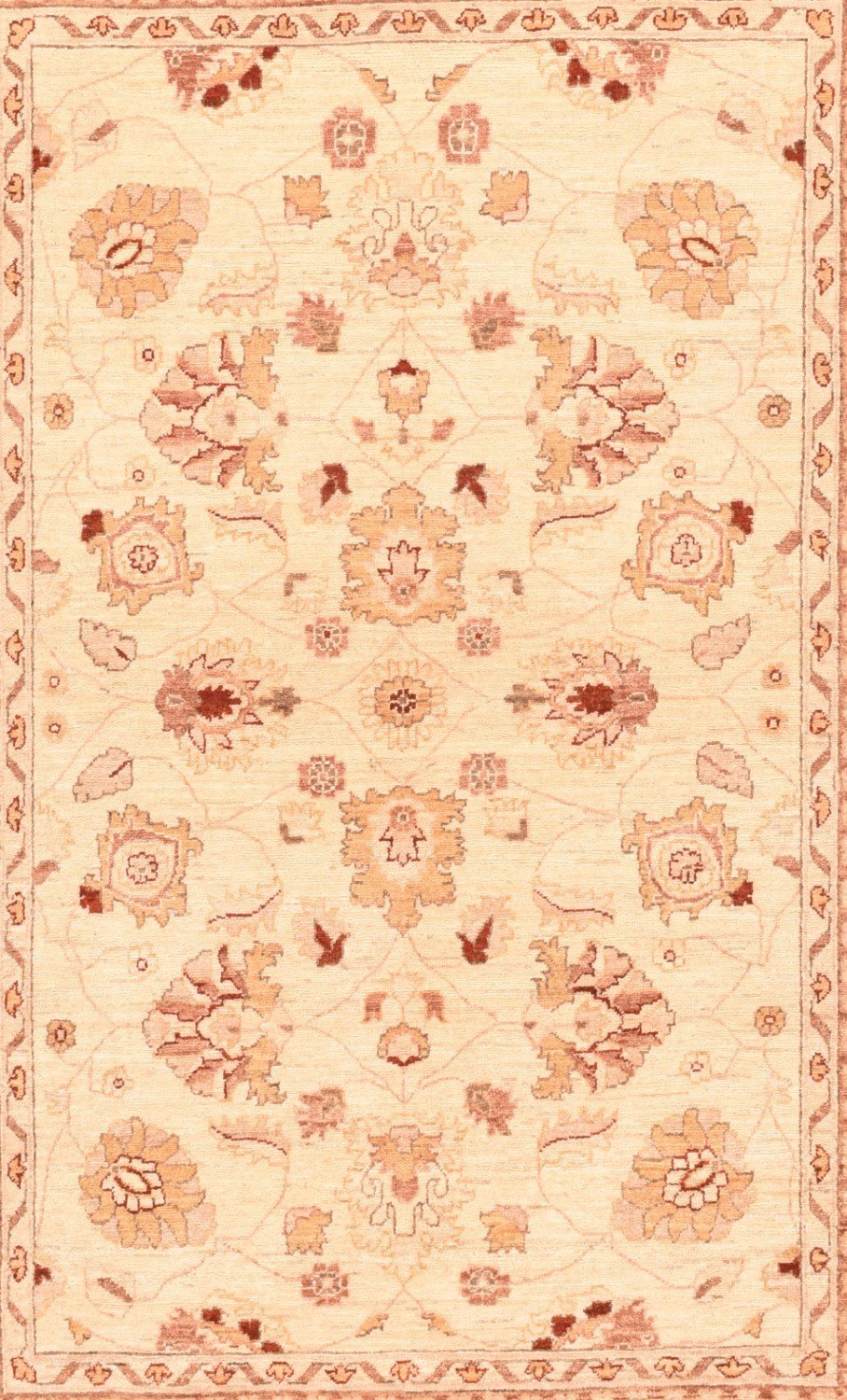 Area Rug 1307