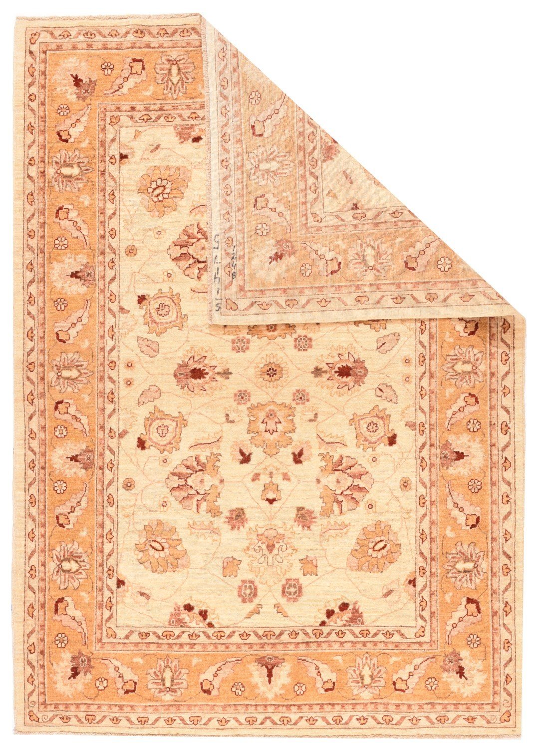 Area Rug 1307