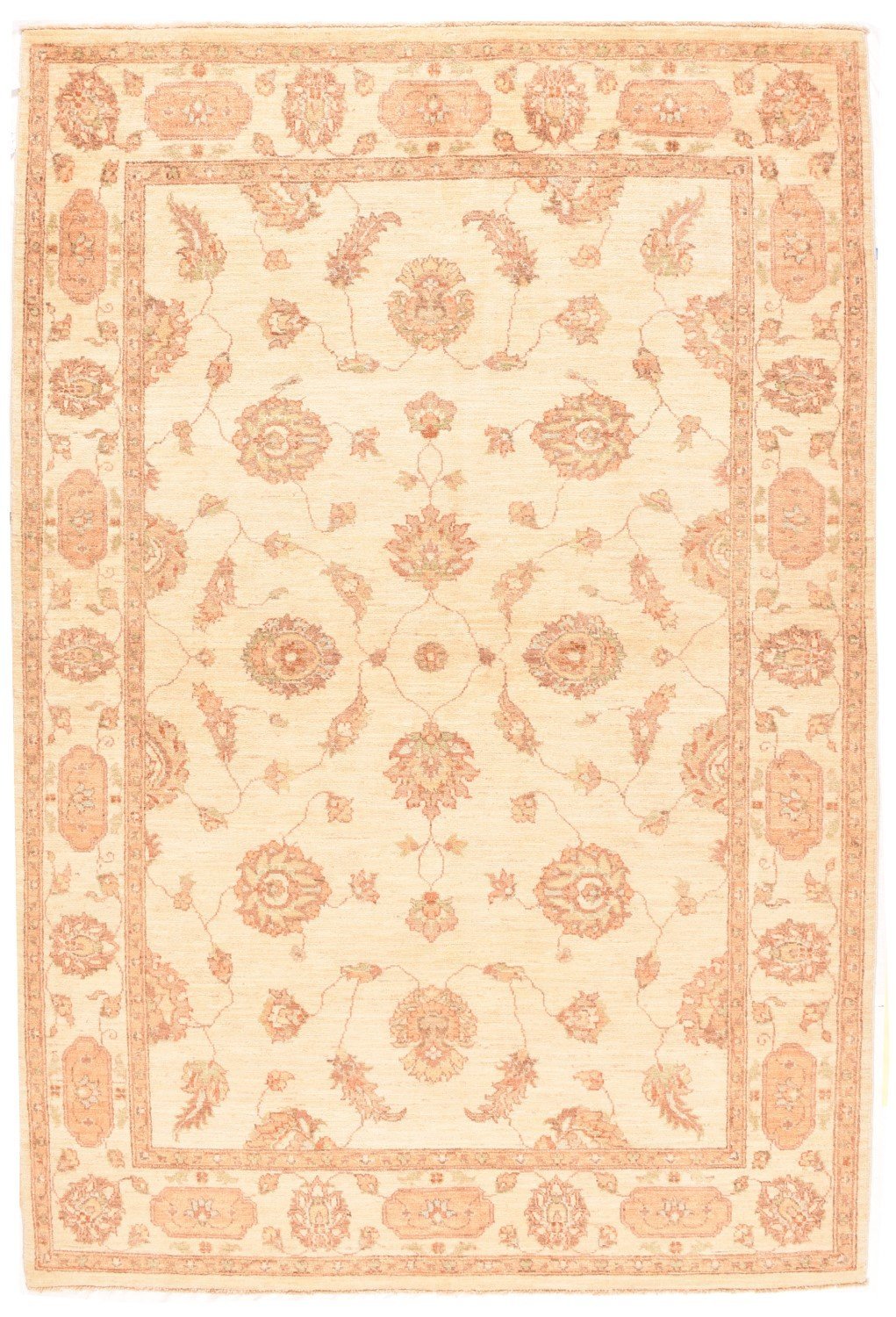 Area Rug 1309