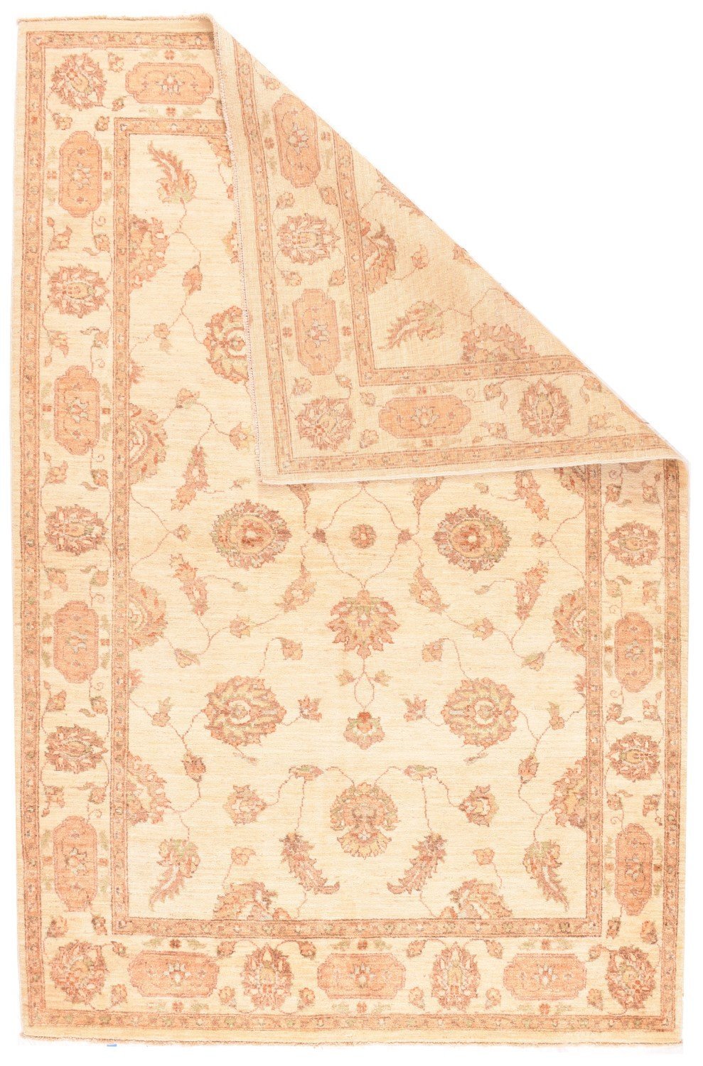 Area Rug 1309