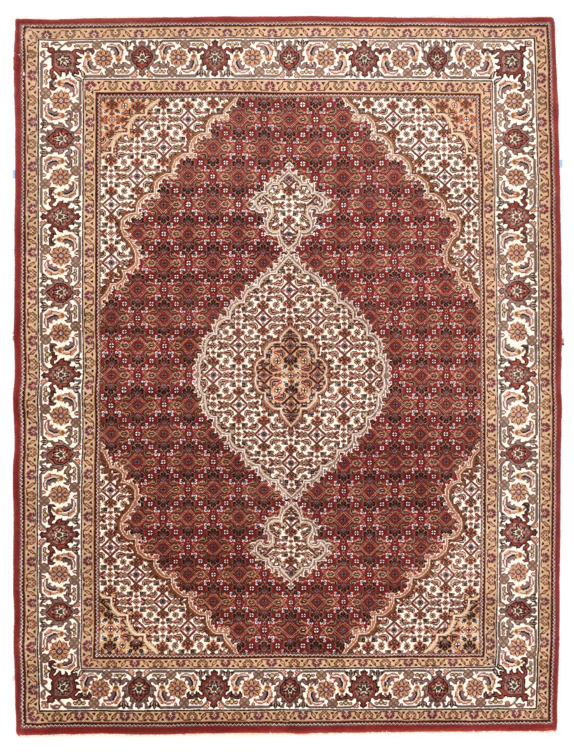Area Rug 1310