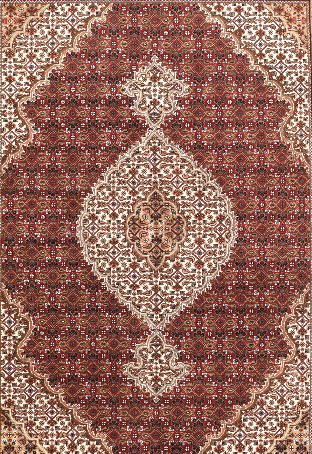 Area Rug 1310