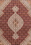 Area Rug 1310