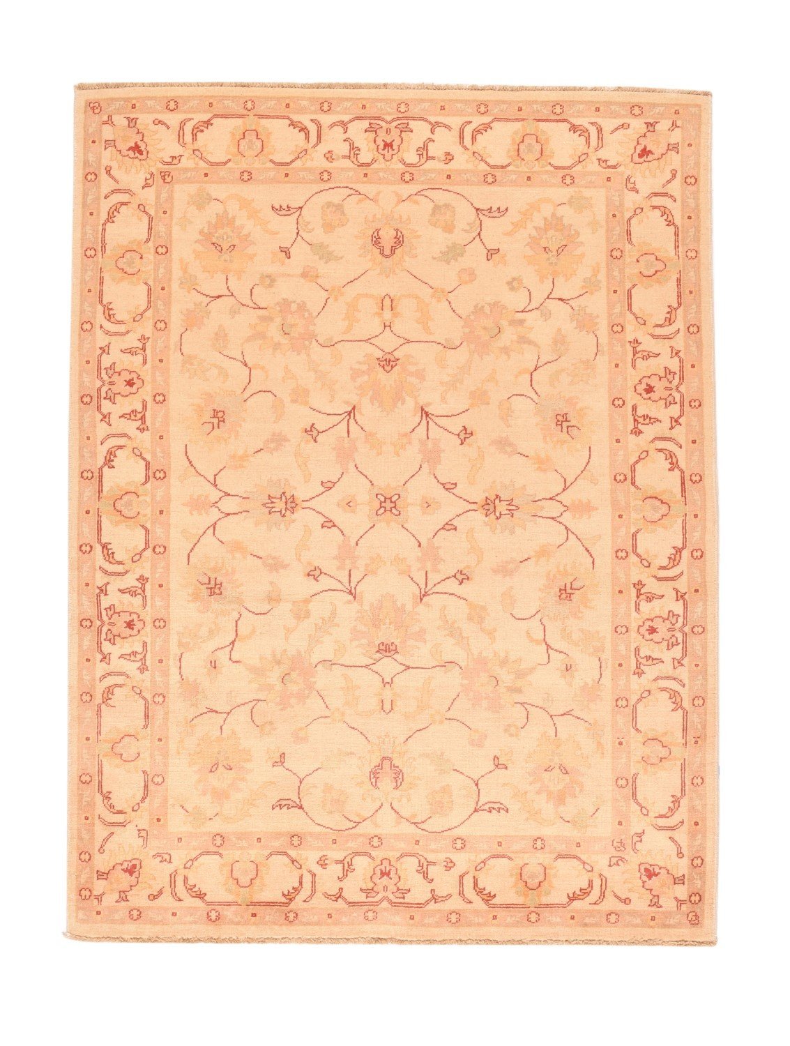 Area Rug 1313