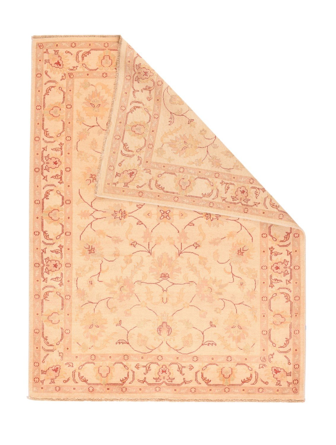 Area Rug 1313