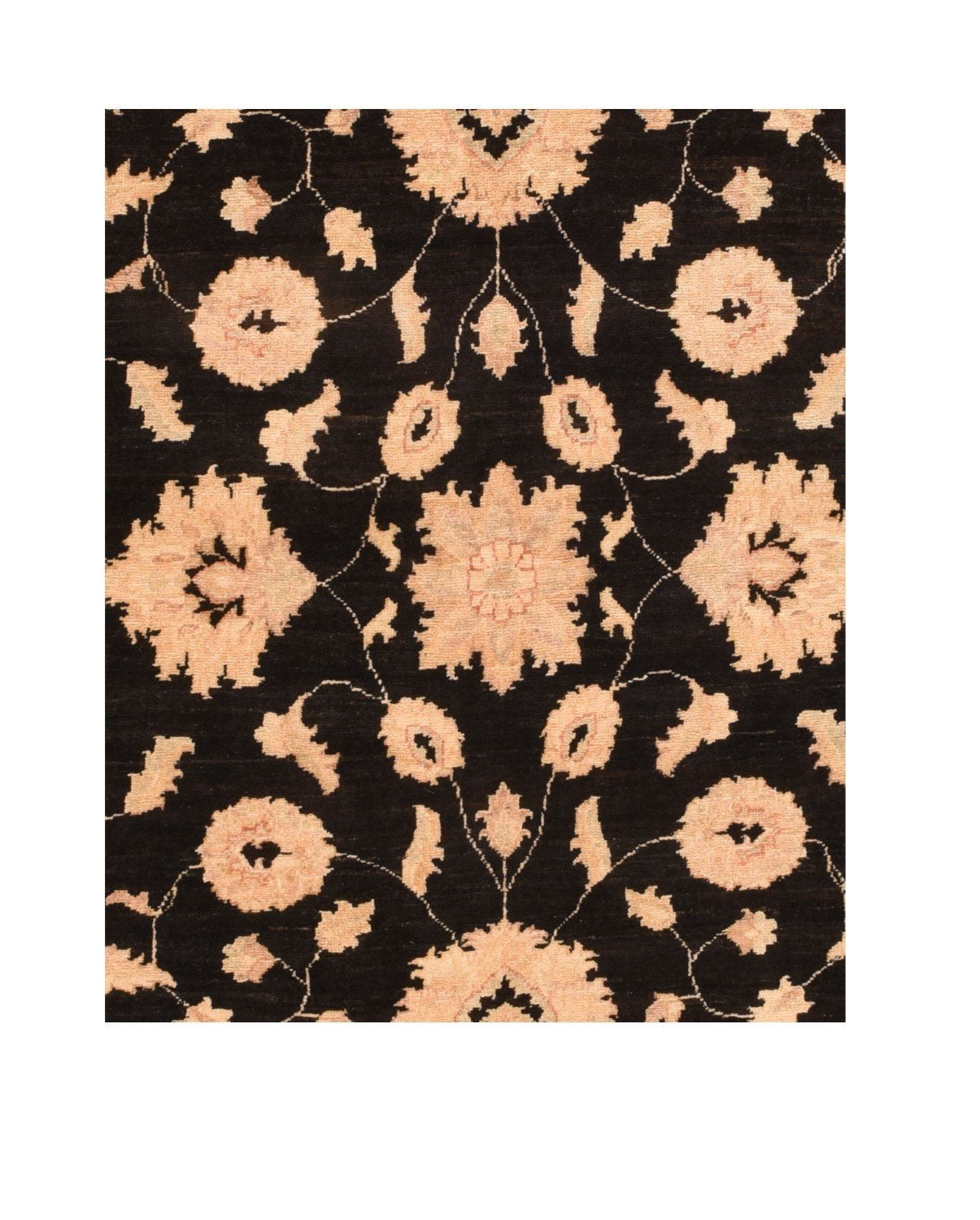 Area Rug 1314