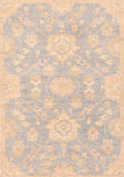 Area Rug 1323